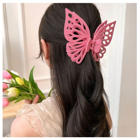 Simple High-End Double Butterfly Hair catcher