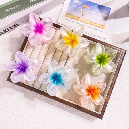 Transparent High-End 5 Patel Flower Hair Grabber 8cm