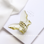 small butterfly catcher