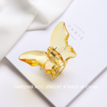 small butterfly catcher