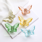 small butterfly catcher