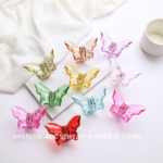 small butterfly catcher