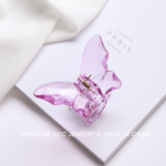 small butterfly catcher