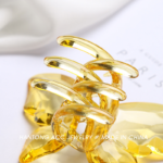 small butterfly catcher