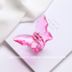 small butterfly catcher