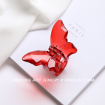 small butterfly catcher