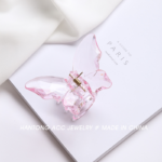 small butterfly catcher