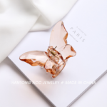 small butterfly catcher