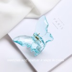 small butterfly catcher