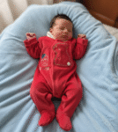 inbound8456860973053140877