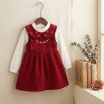 Velvet frock
